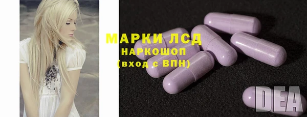 ПСИЛОЦИБИНОВЫЕ ГРИБЫ Алзамай
