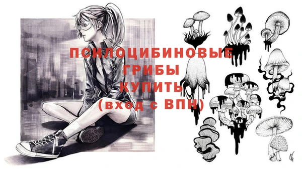 ПСИЛОЦИБИНОВЫЕ ГРИБЫ Алзамай