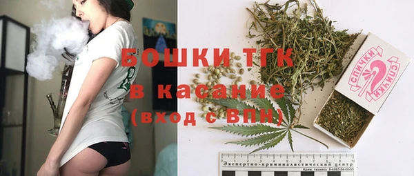 spice Алексин