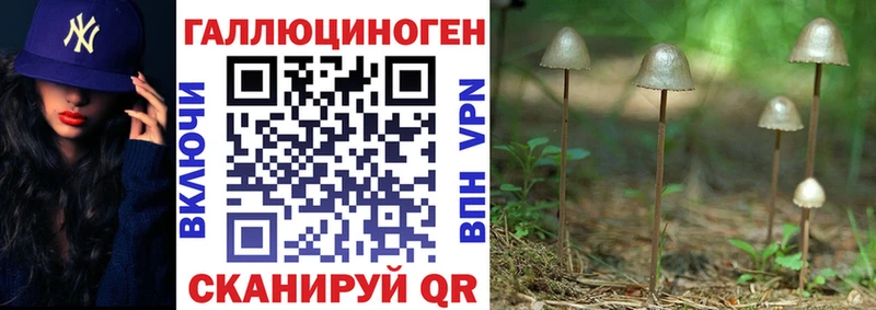 kraken вход Закаменск Галлюциногенные грибы GOLDEN TEACHER
